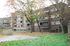 falling leaves from trees in front of a housing estate