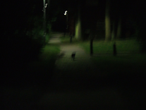 A blurry photo of a black cat in the middle of a walkway