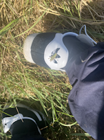 Bug on my shoe