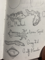 drawing of the fish encylopedia from the game Dredge