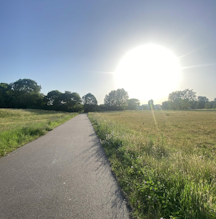 a contrete path with the sun, bright and large in the near horizon