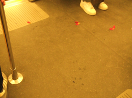 Flower petals on the floor of a train